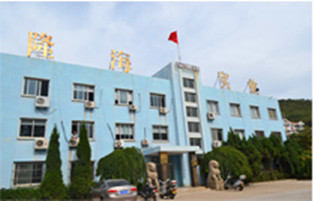 煙臺(tái)隆海造船有限公司用戶(hù)案例