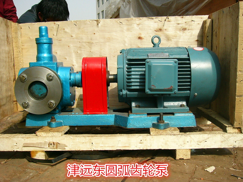 圓弧齒輪泵 圓弧齒輪泵
