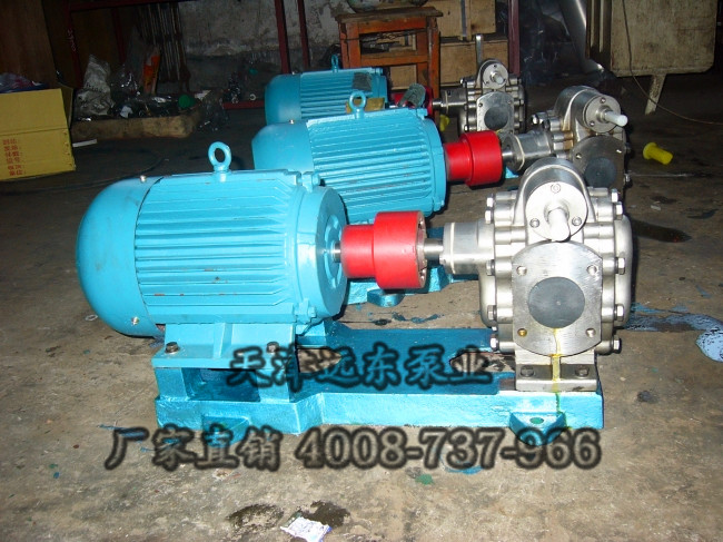 不銹鋼齒輪泵 不銹鋼齒輪泵