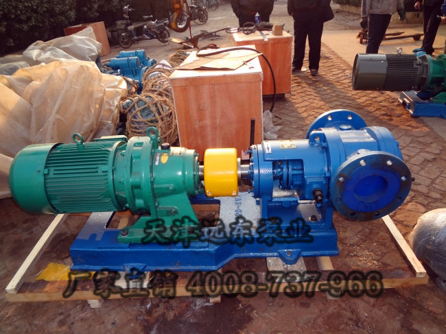 高粘度泵 高粘度泵